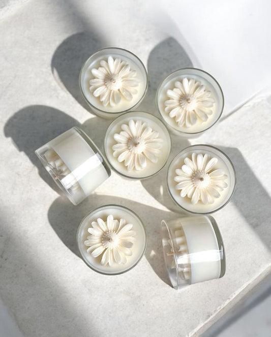 Papatya Mum - Sevgililer Günü Özel