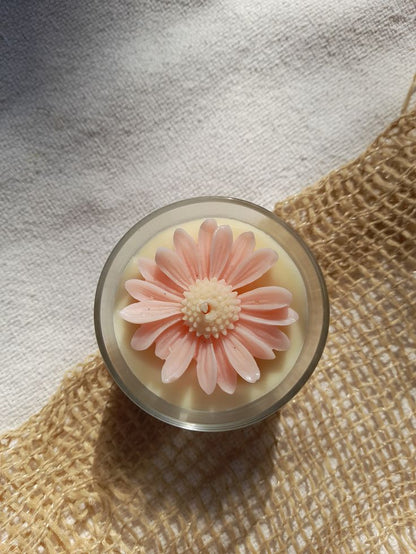 Papatya Mum - Sevgililer Günü Özel