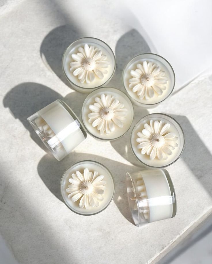 Papatya Mum - Sevgililer Günü Özel