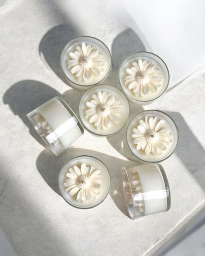 Papatya Mum - Sevgililer Günü Özel